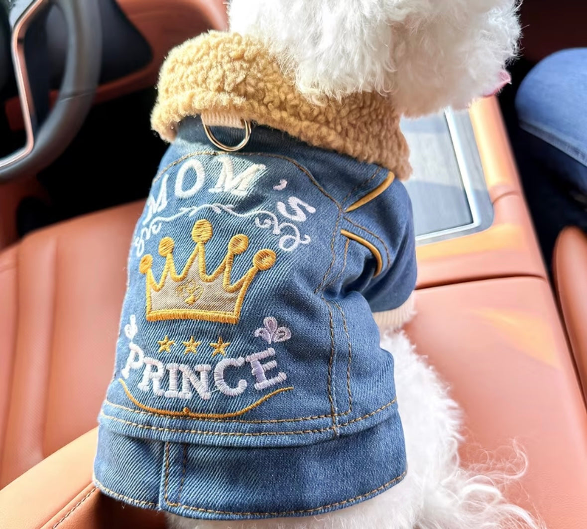 Pet clothing for dogs