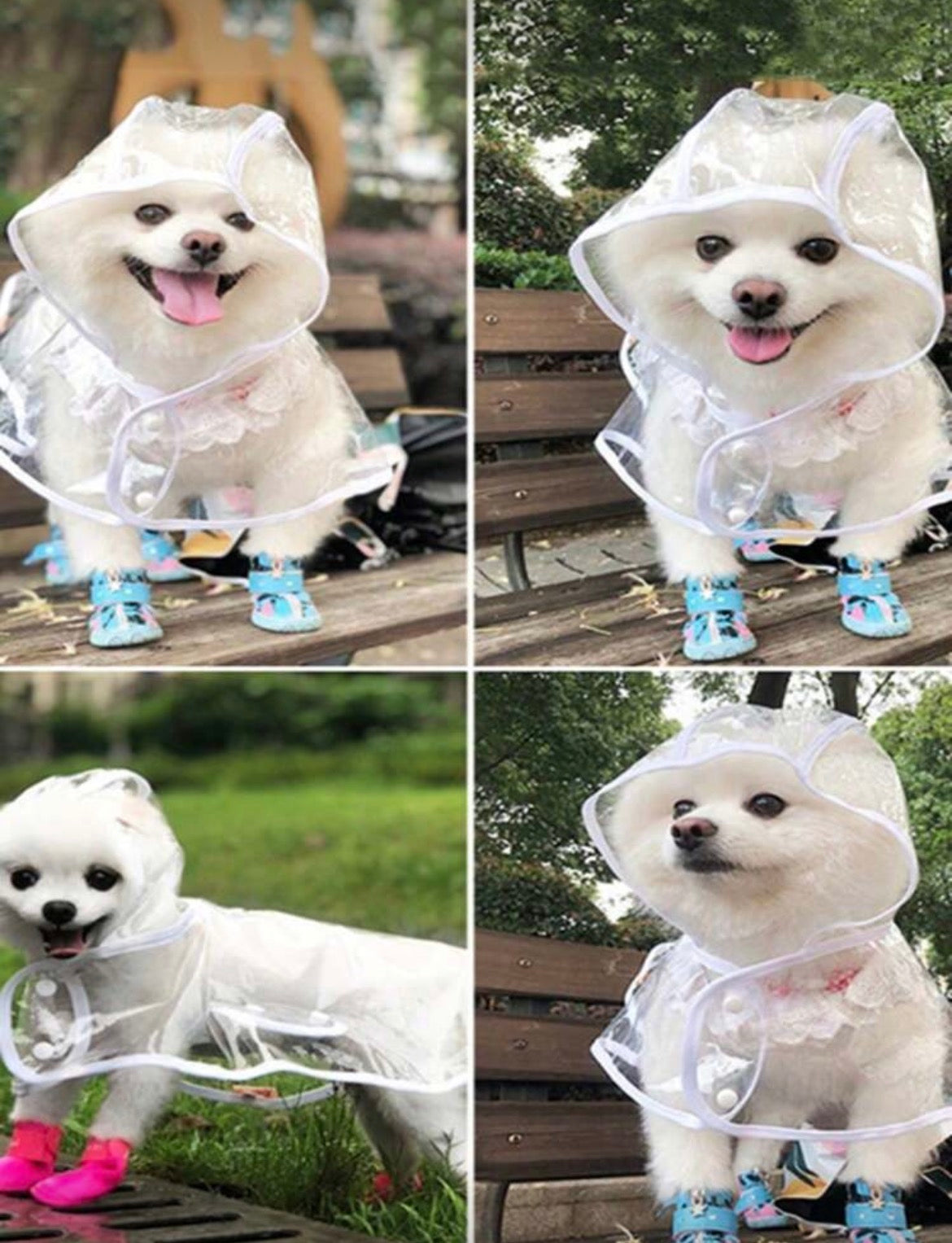 Dog Rain Coat