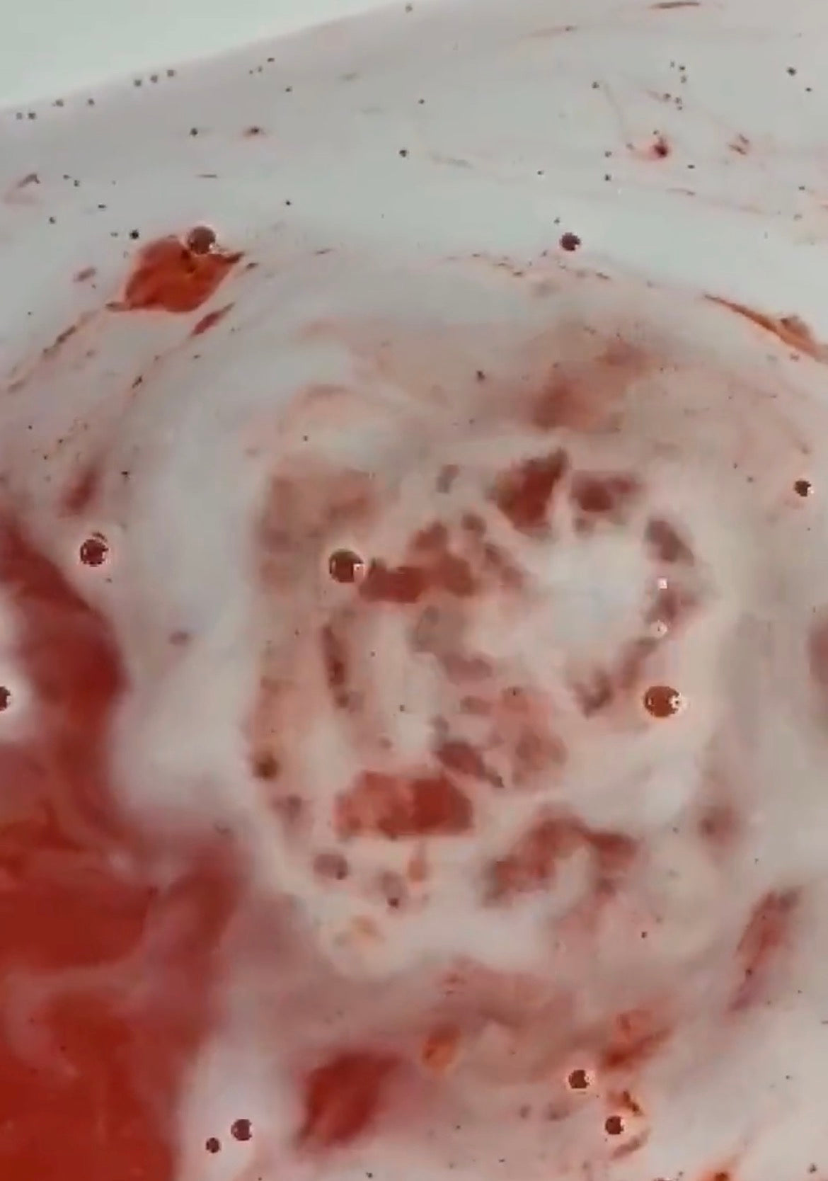 Shark Bath Bomb