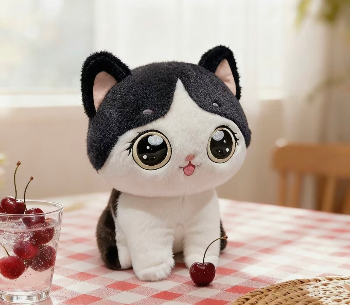 Cat Teddy
