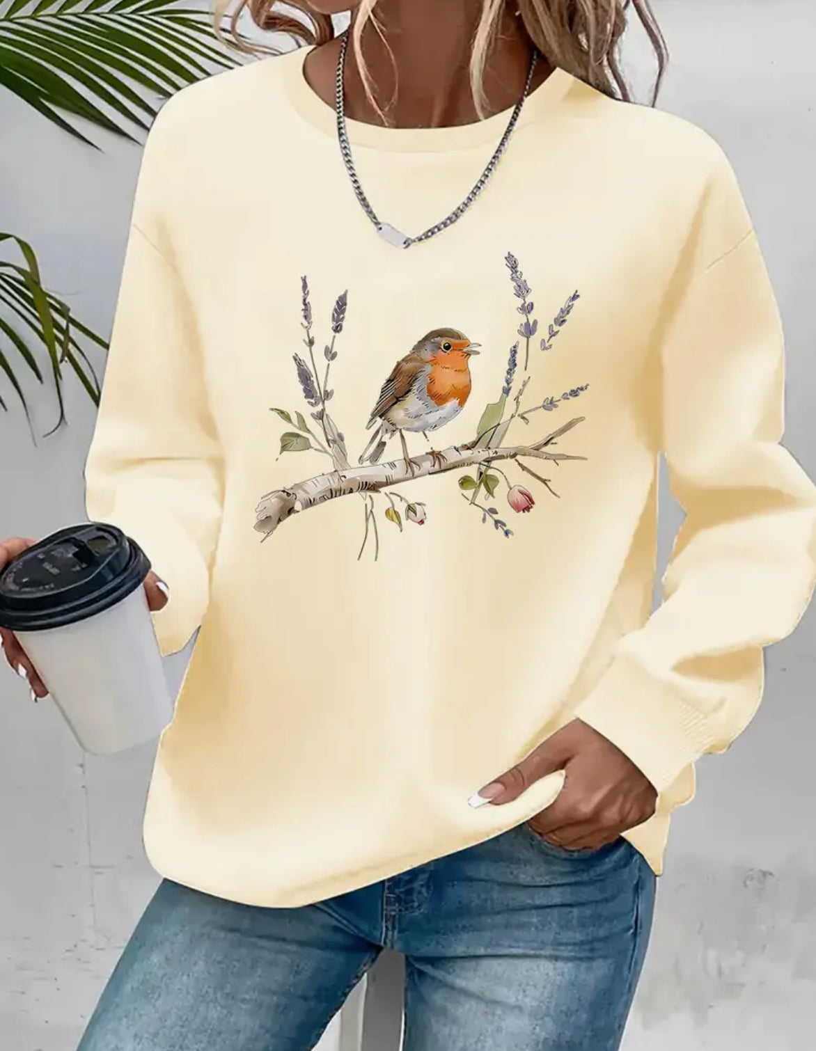Ladies Robin Jumper