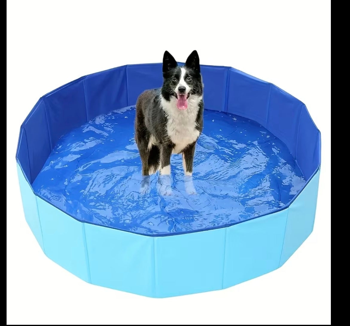 Dog Swimming Pool