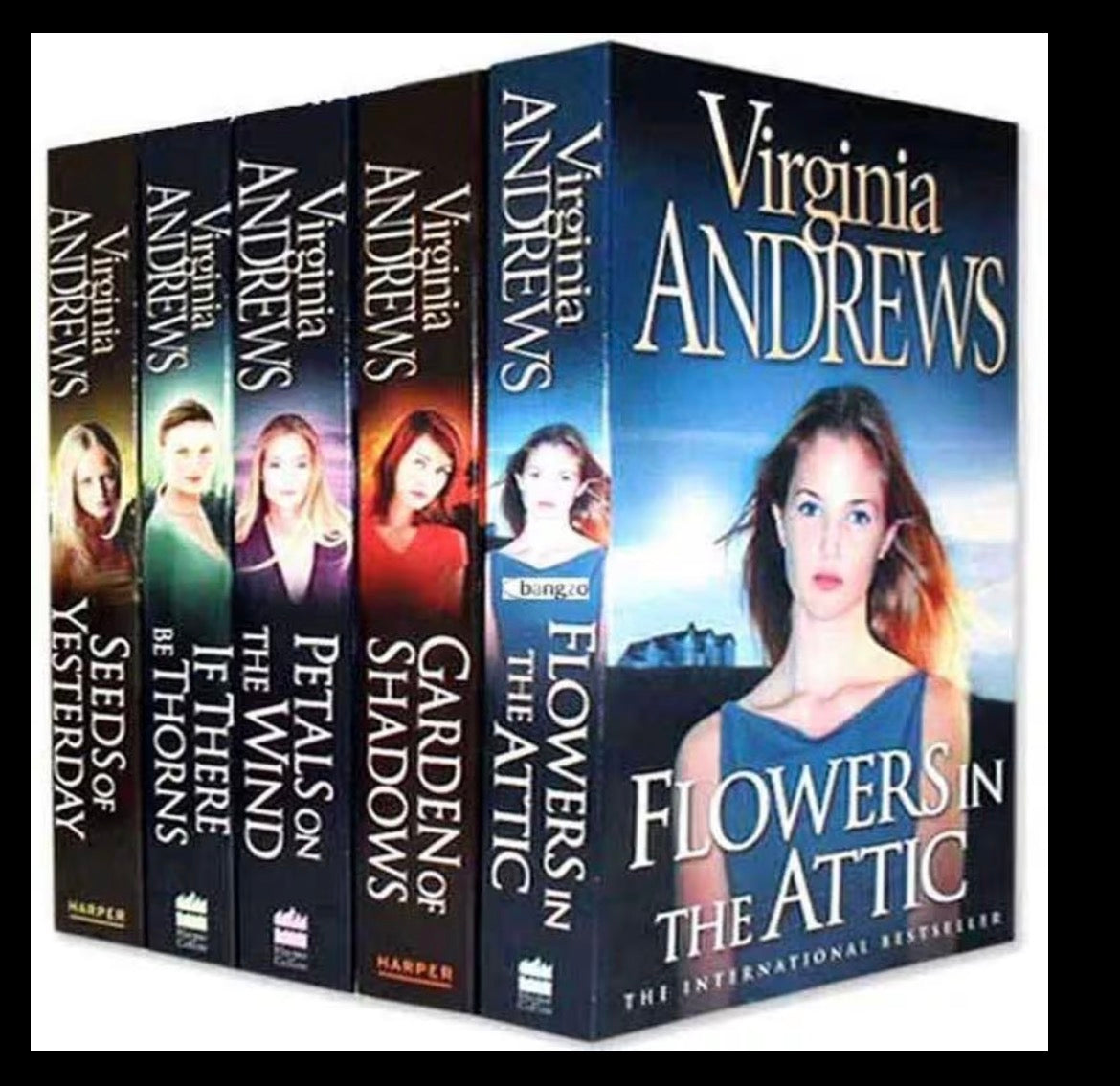 X5 Books