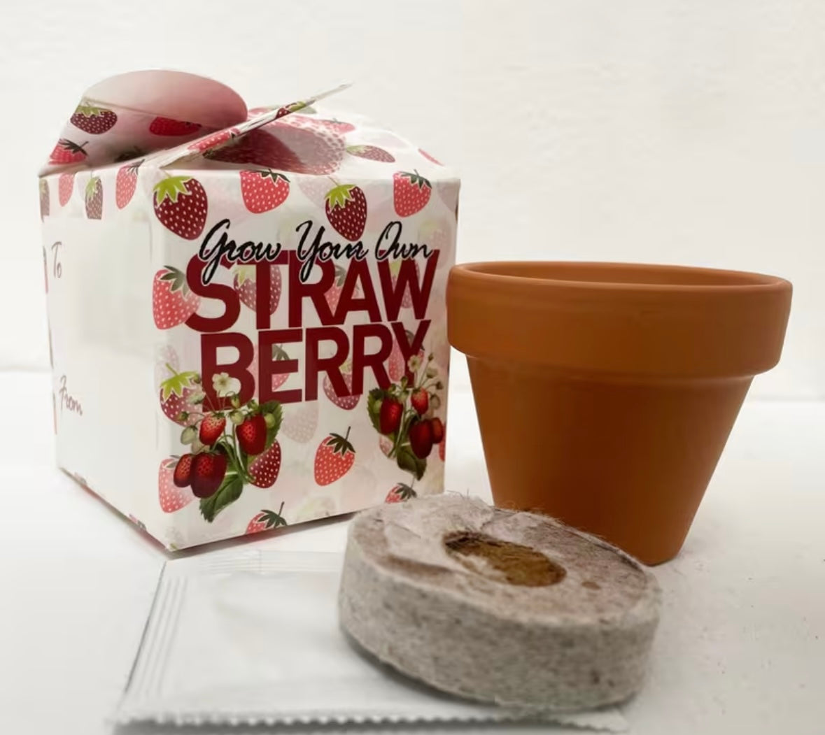 Grow your own strawberry mini box kit