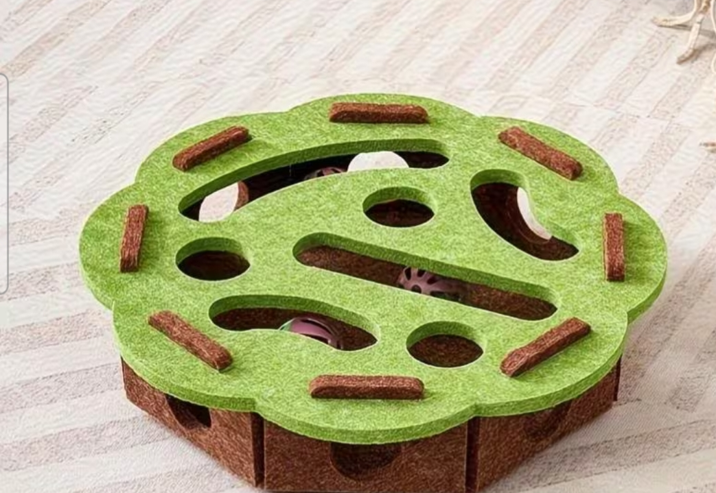 Cats fun box