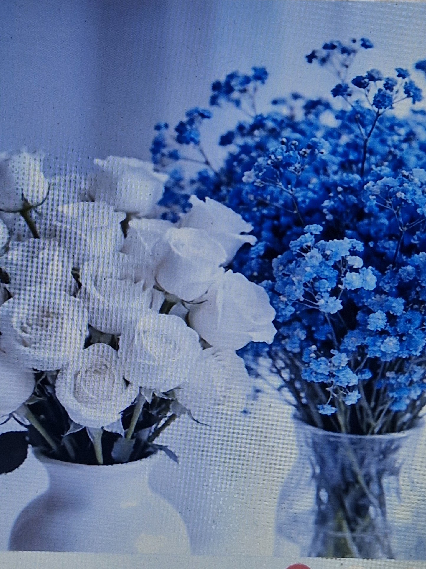 26 pcs realistic white and blue flowers