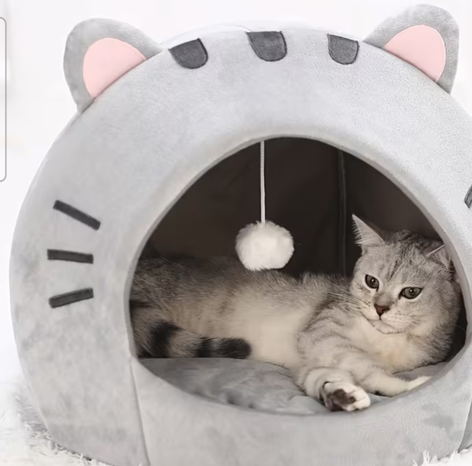 Cats bed
