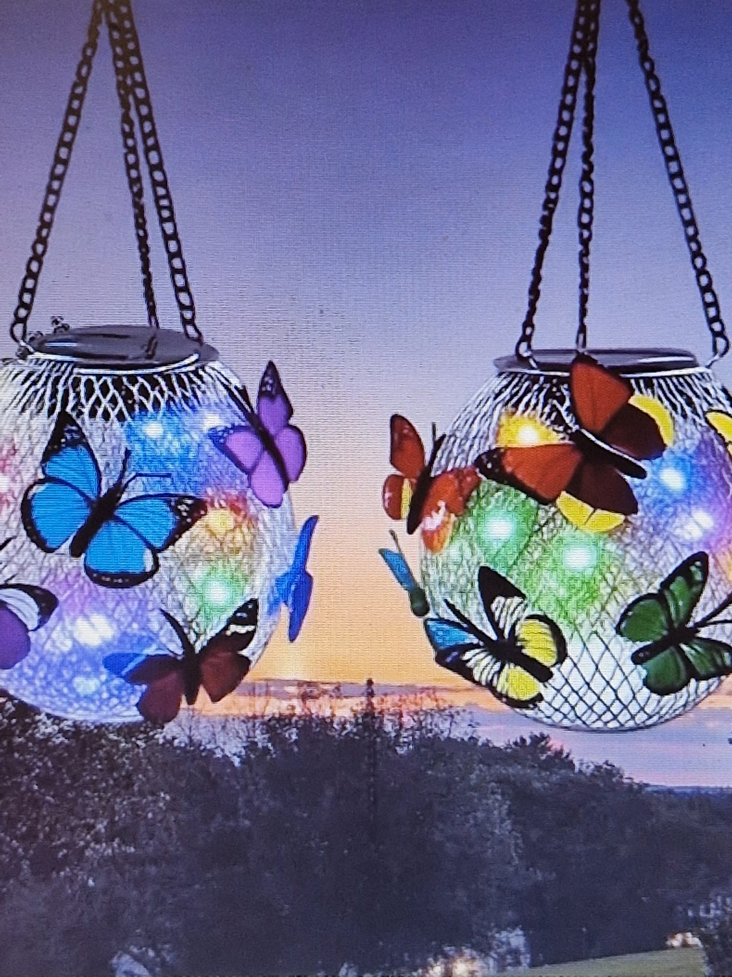 Butterfly solar lights