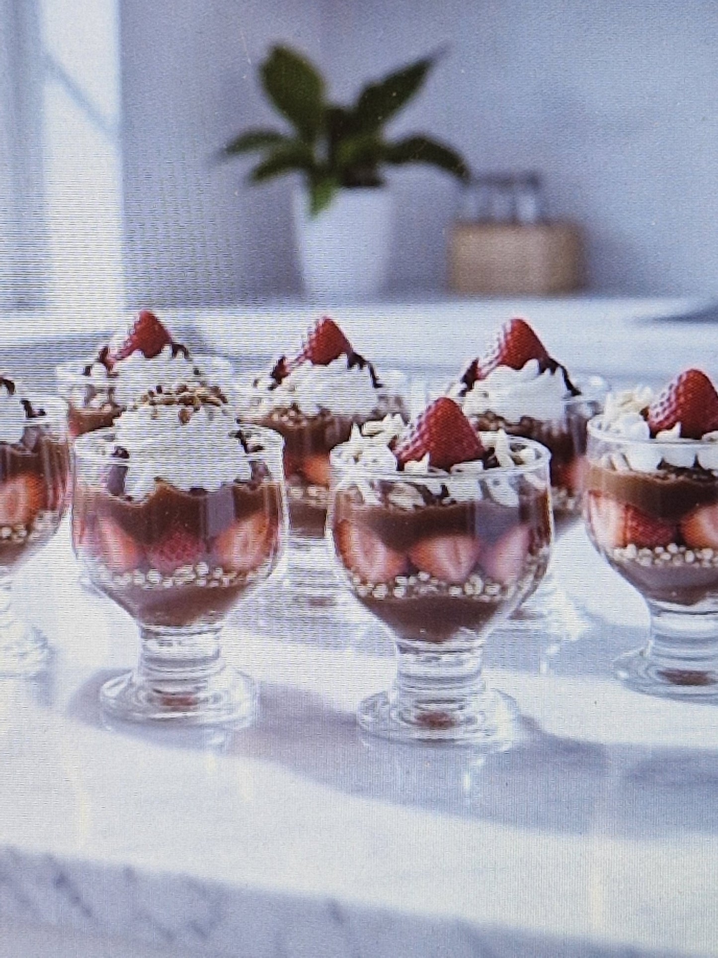 6pc tulip dessert glasses