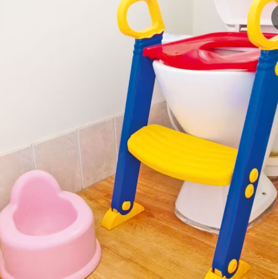 Toilet training ladder