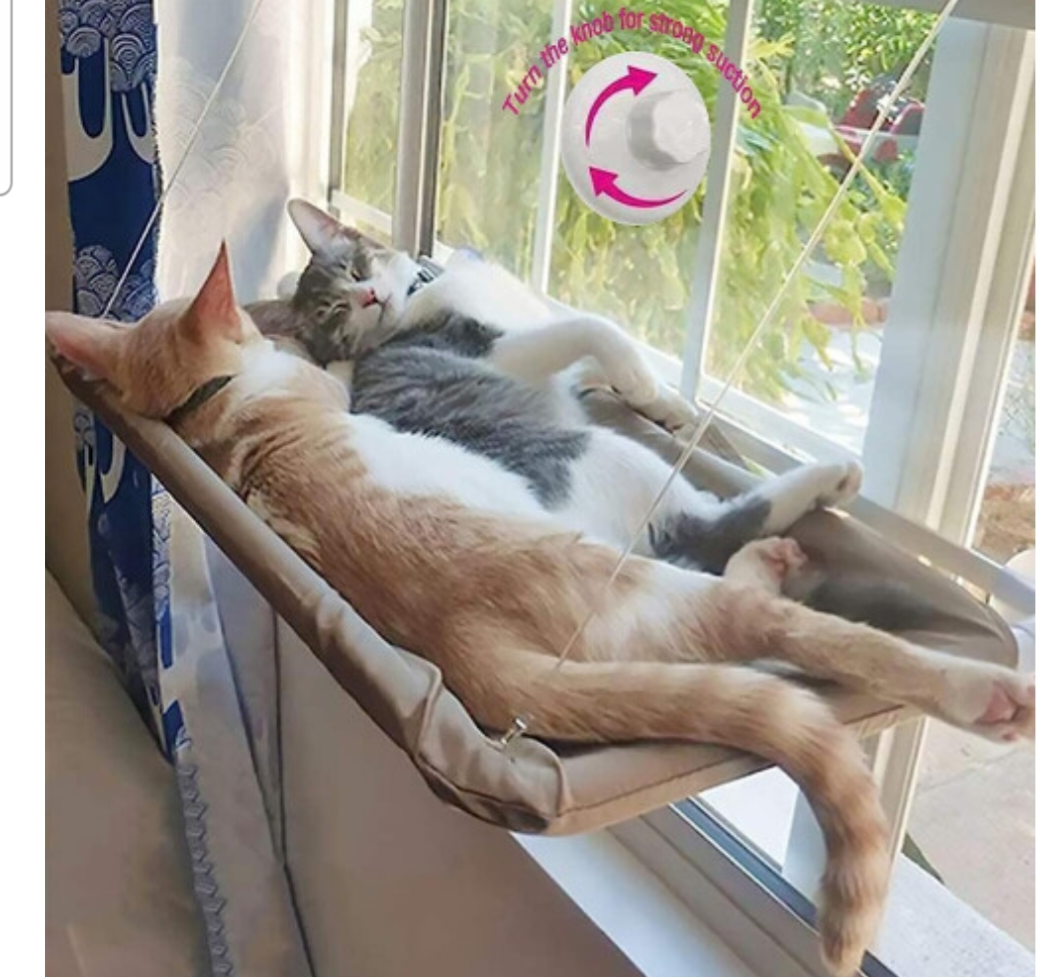 Cat hammock