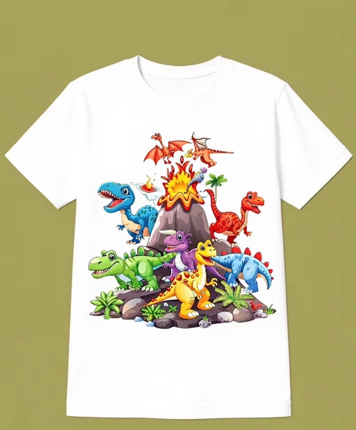 Boys T-shirt