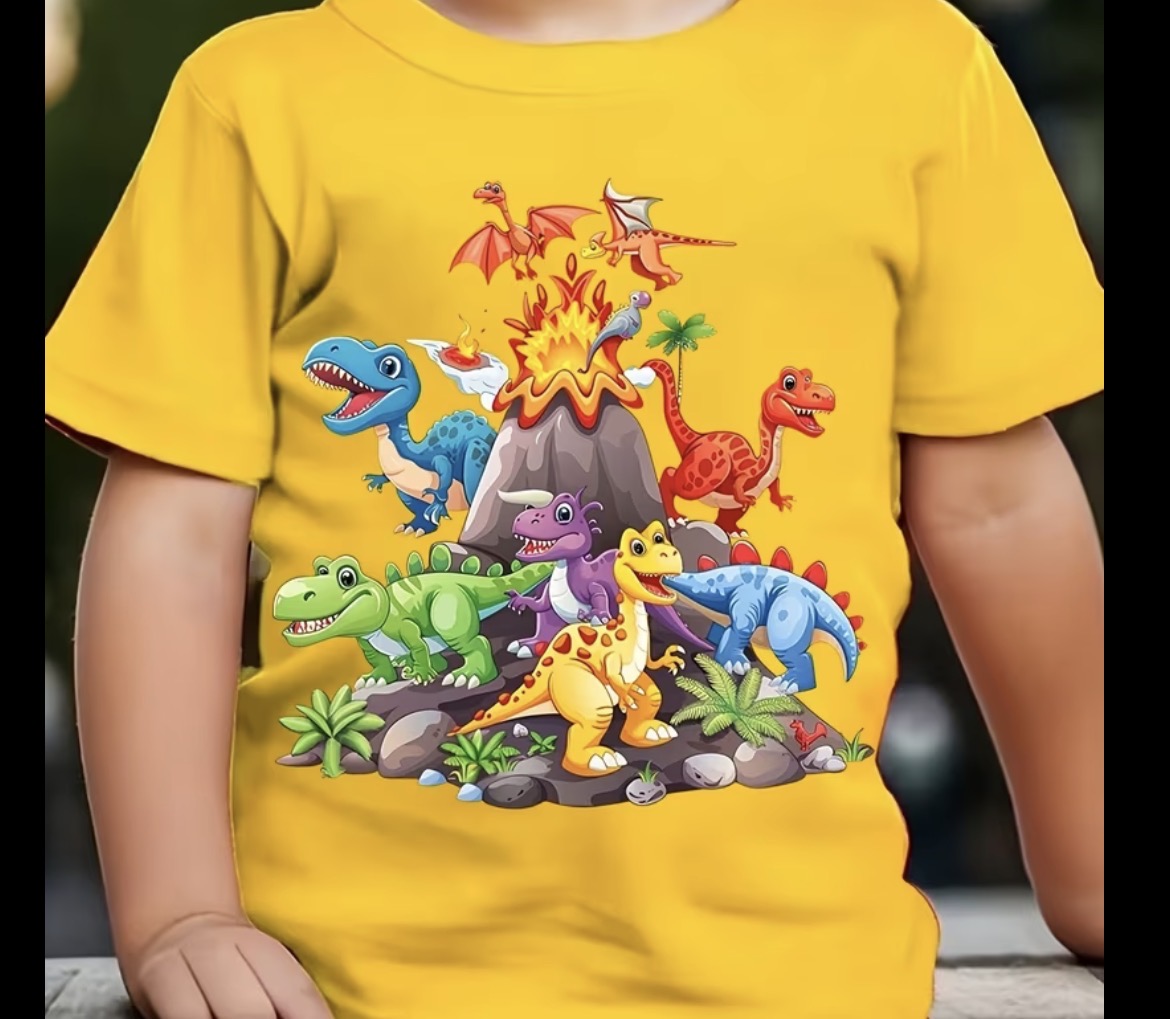 Boys T-shirt