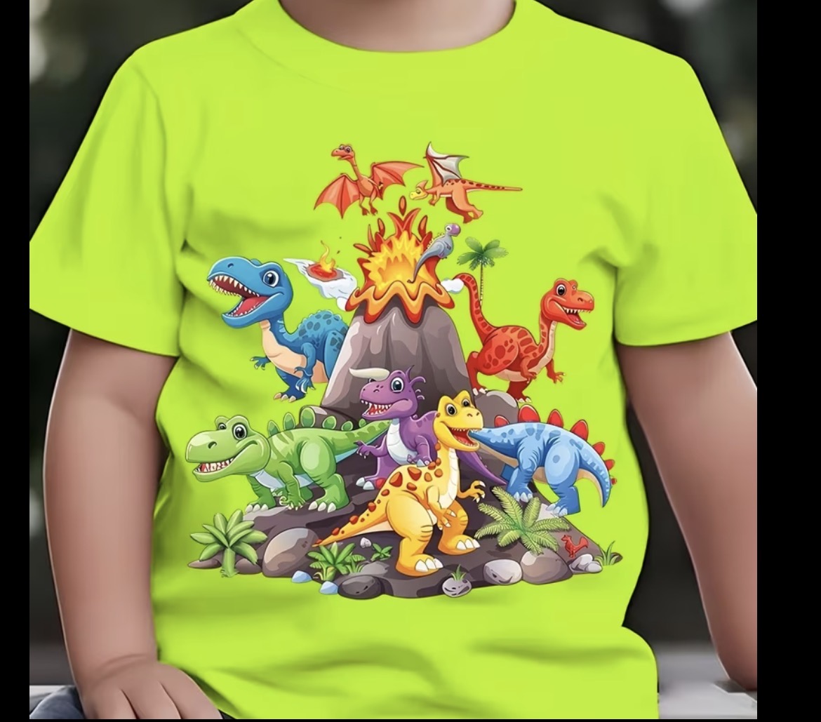 Boys T-shirt