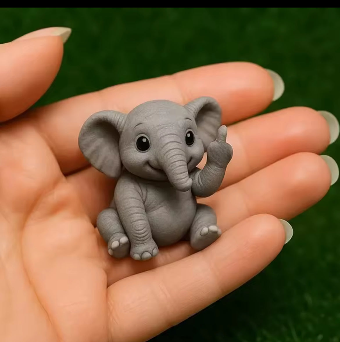 Animal Decor
