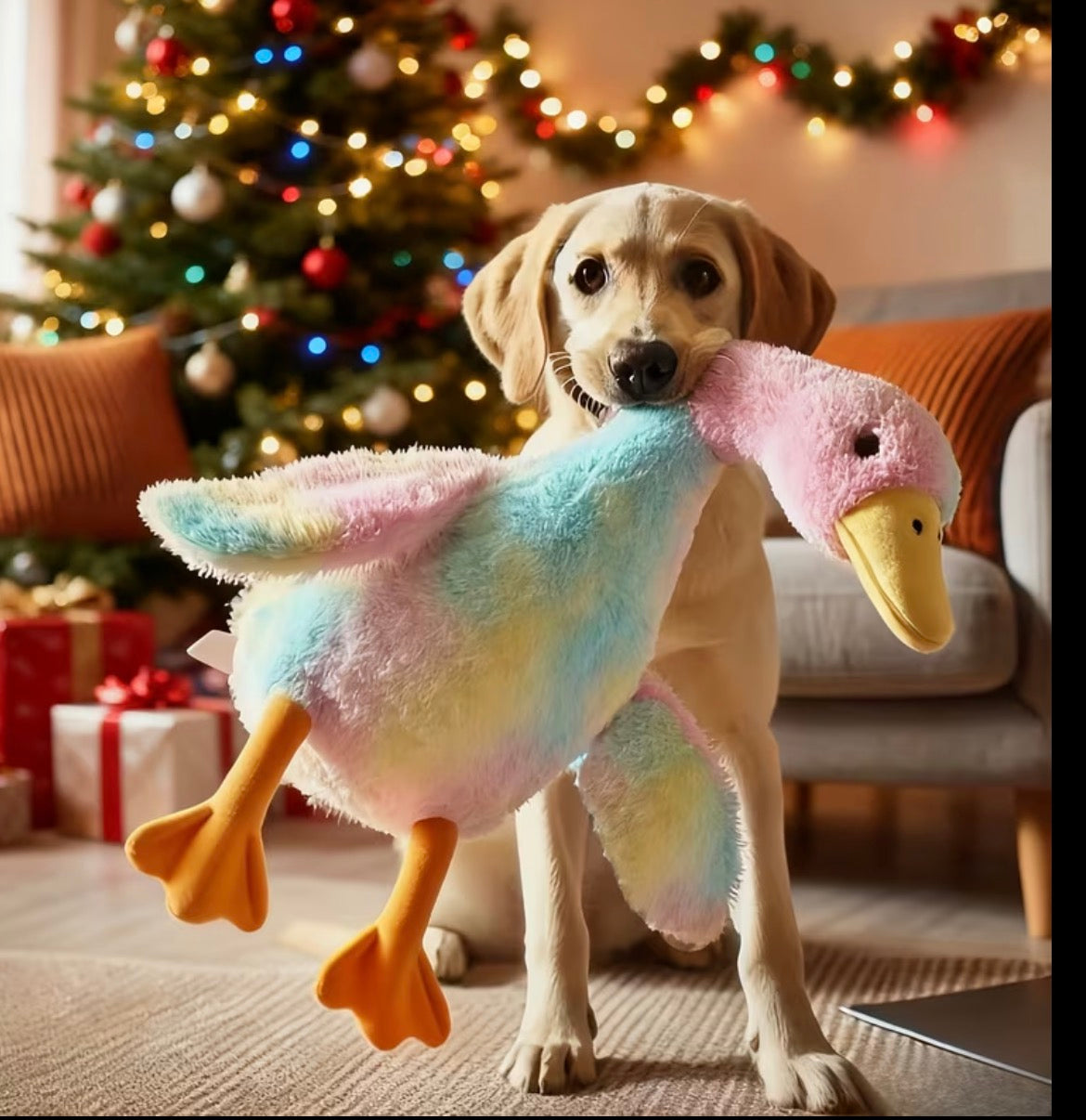 Duck Dog Toy