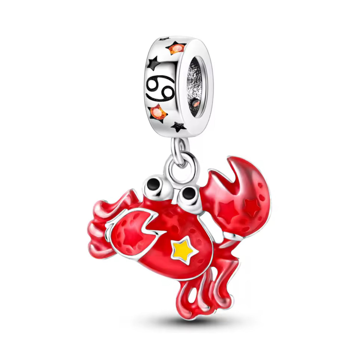 Charms & Braclet