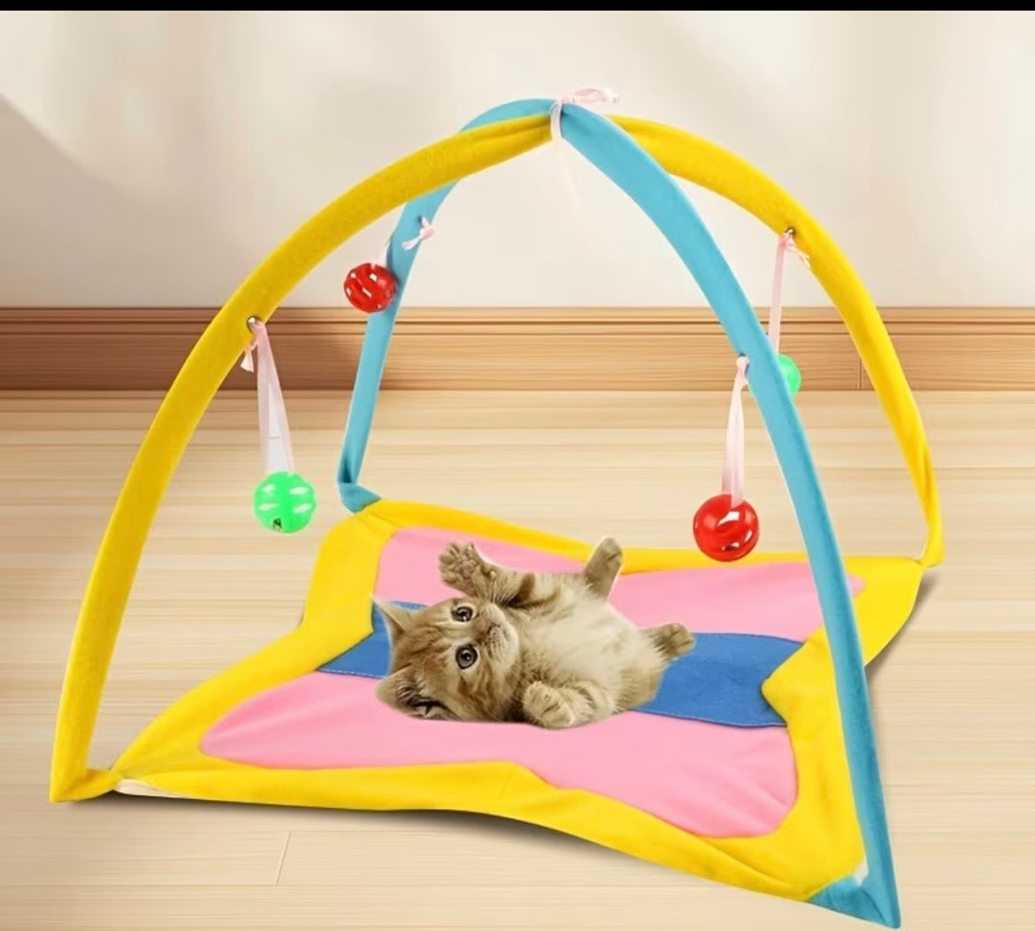 Cat Toy