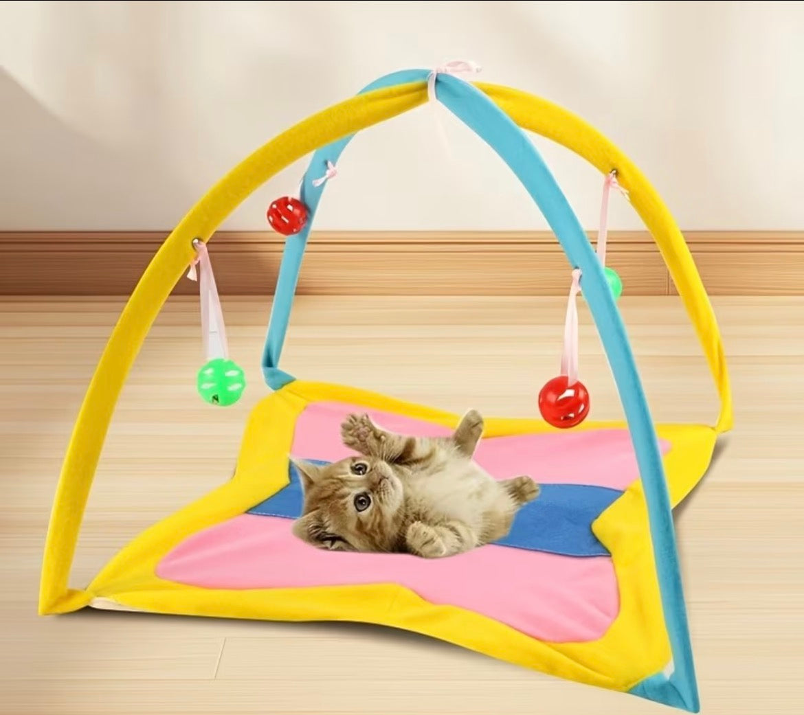Cat Toy