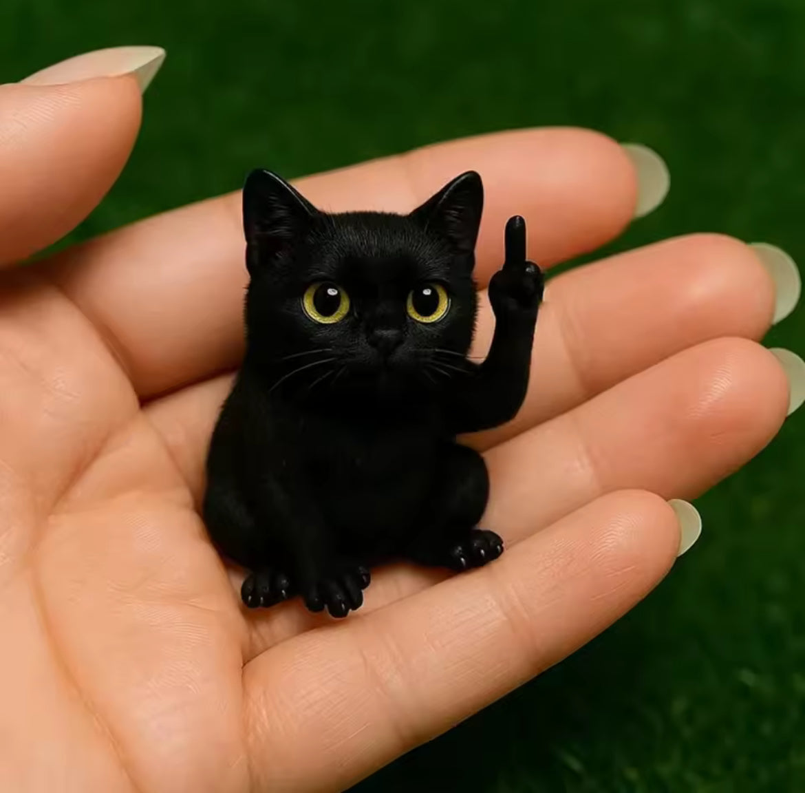 Animal Decor