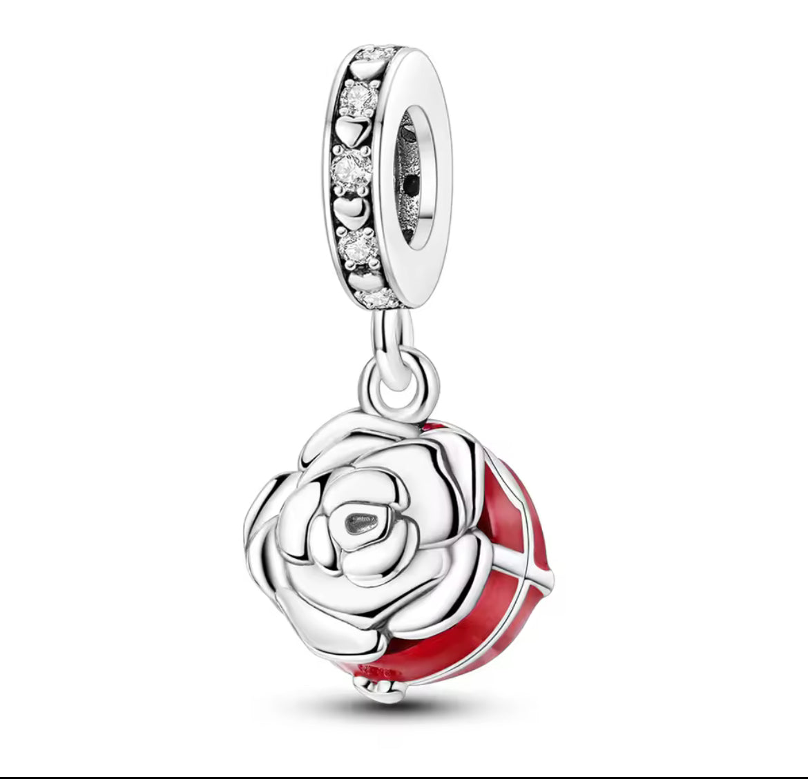 Charms & Braclet