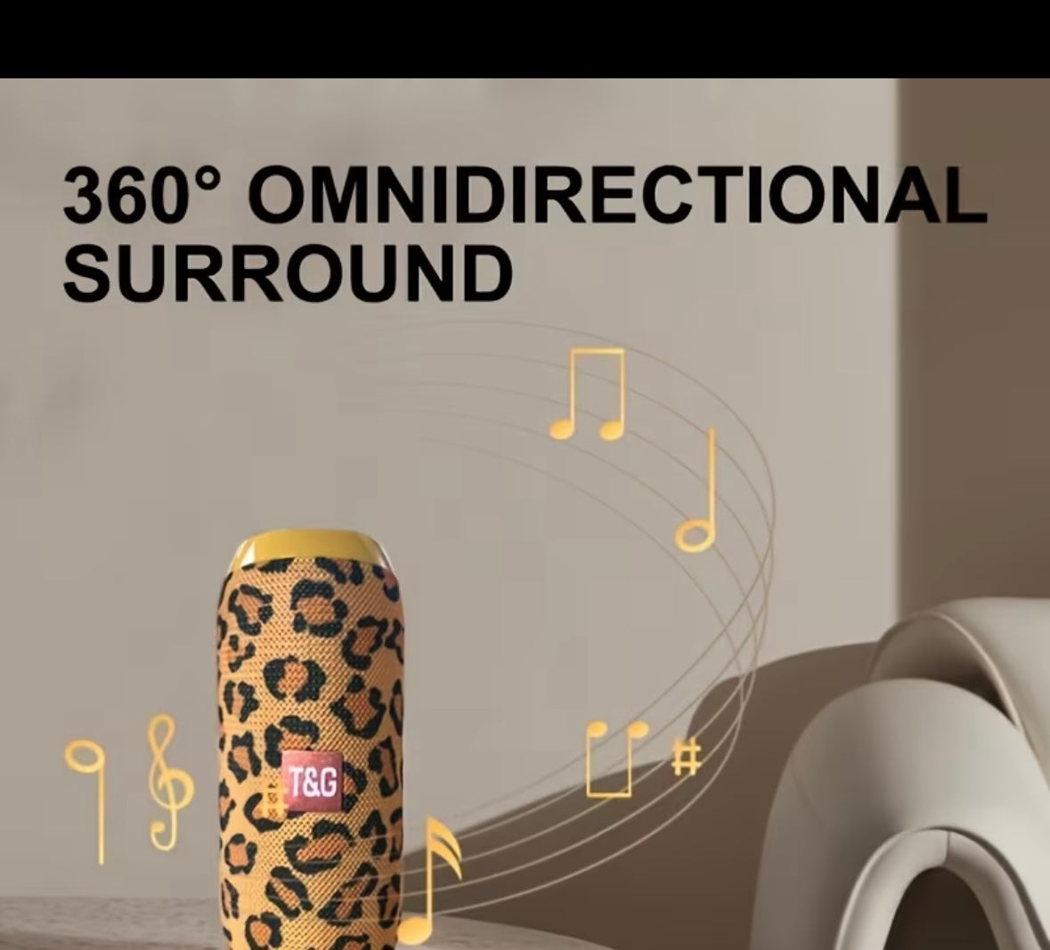 TG117 Portable Wireless Speaker