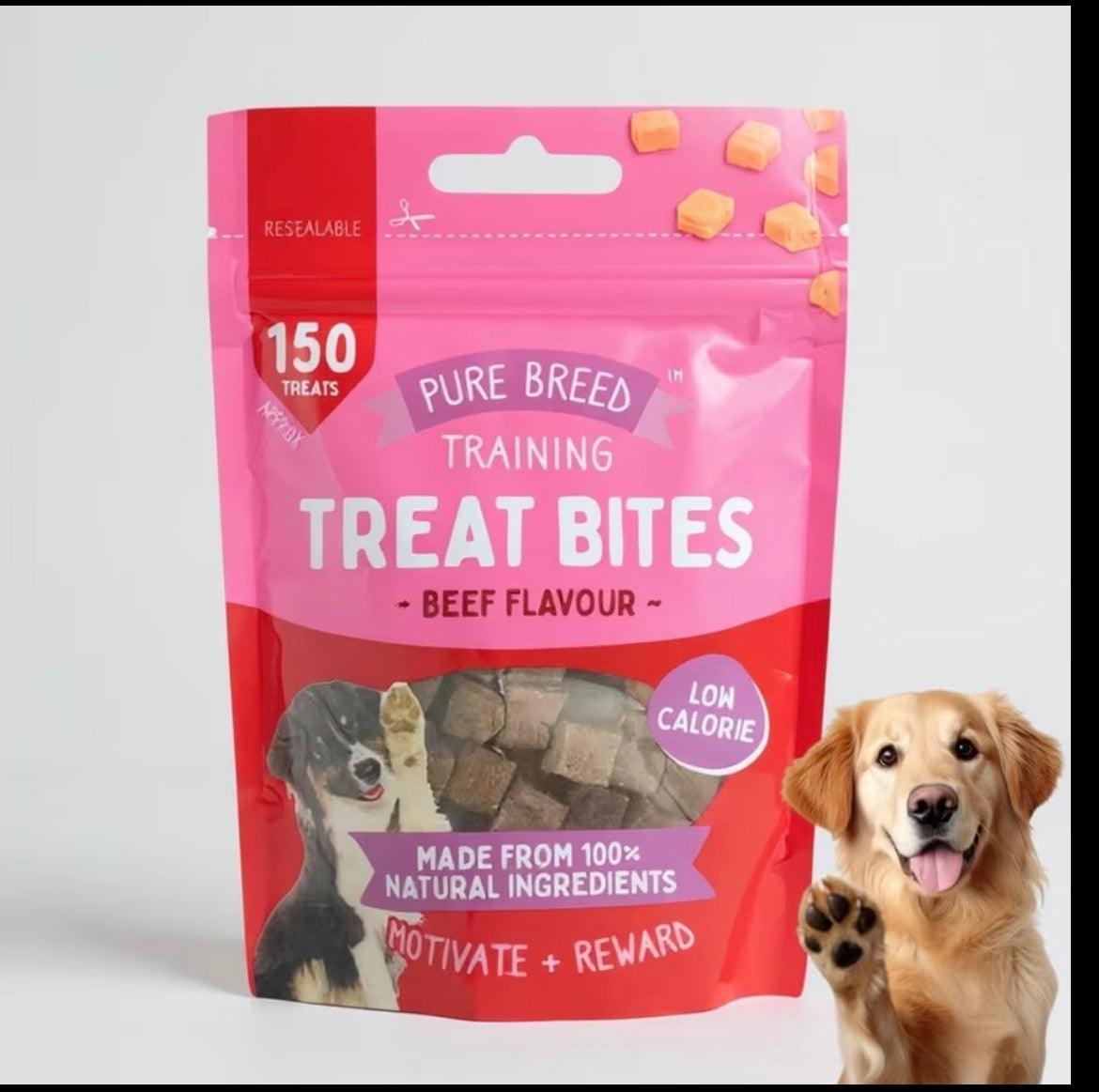 Dog Treats