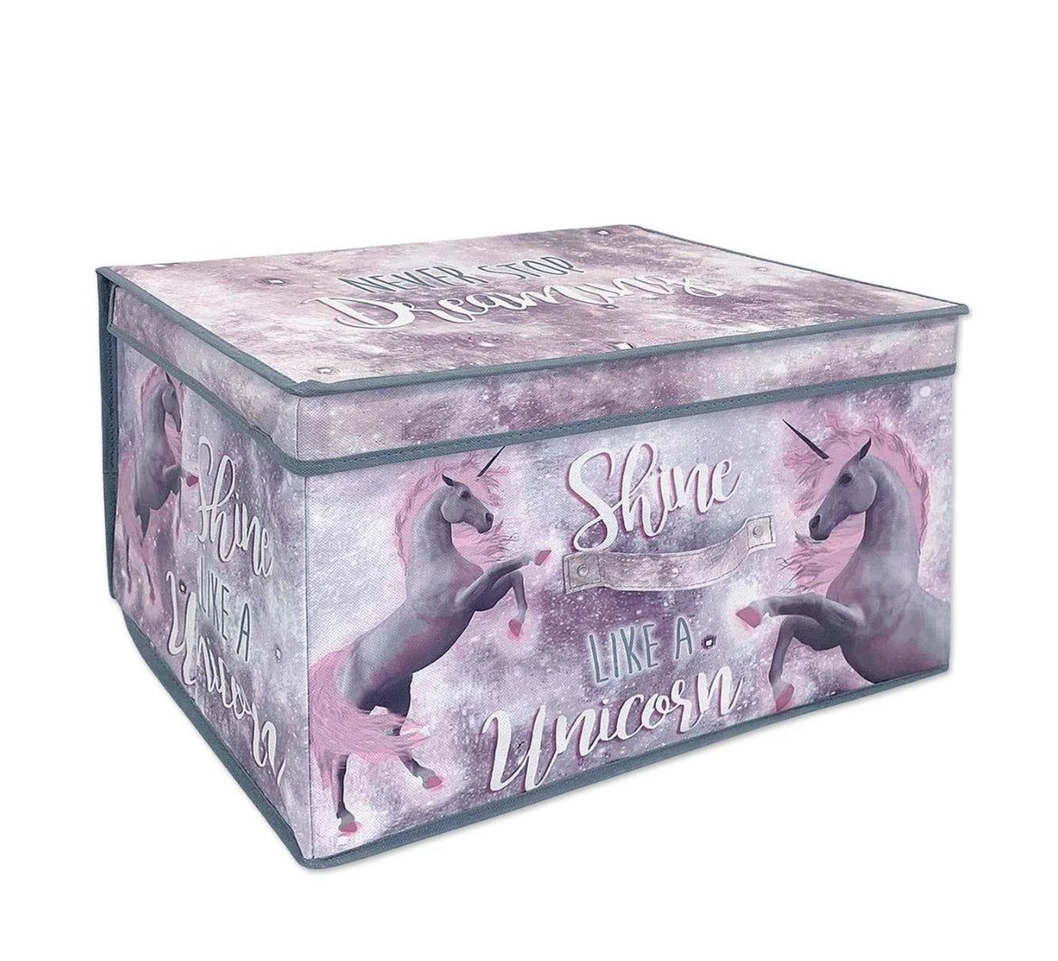 Large Storage box