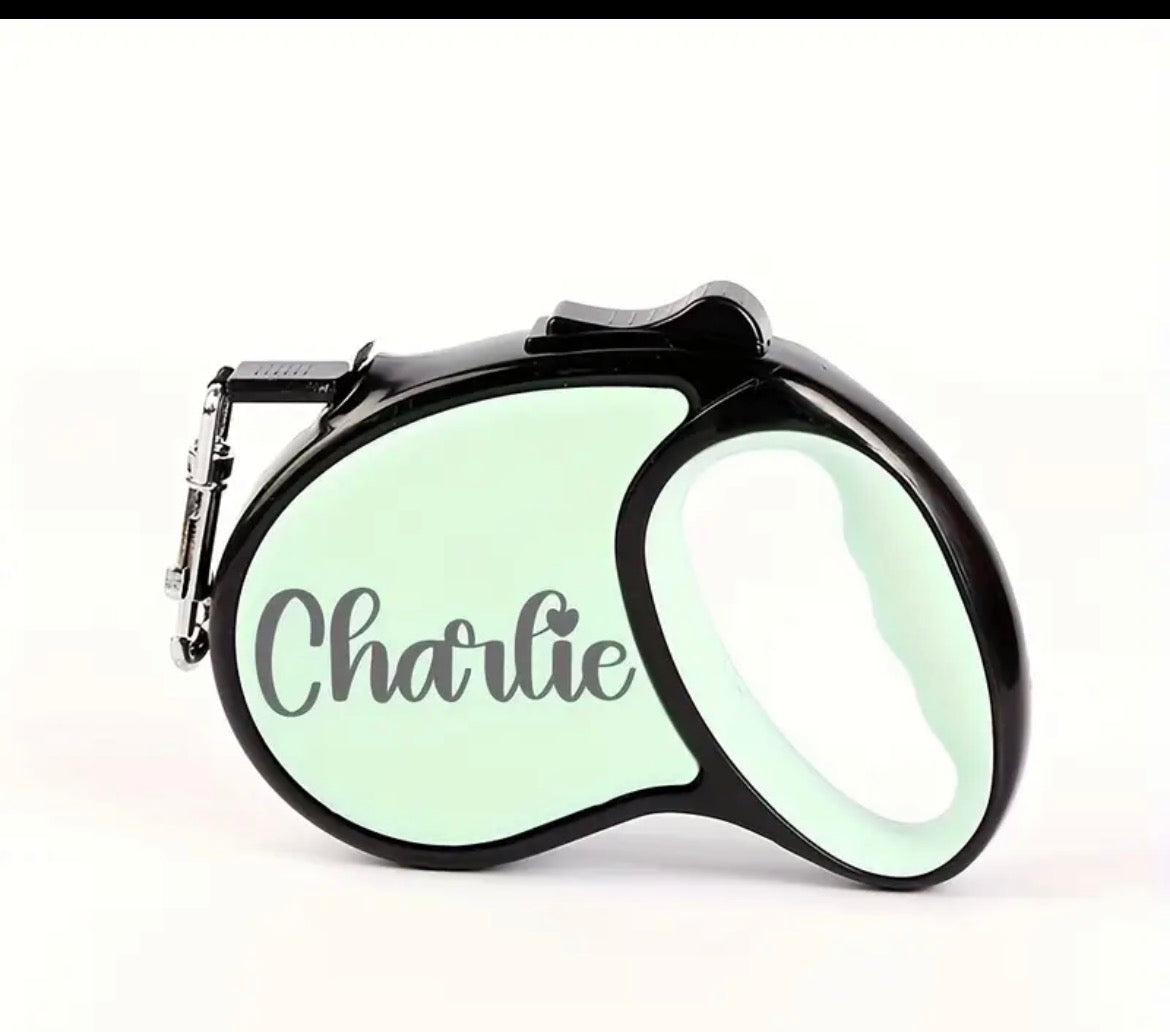 Personalised Dog Lead