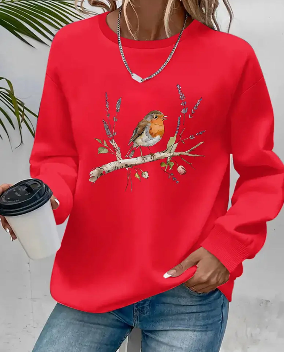 Ladies Robin Jumper