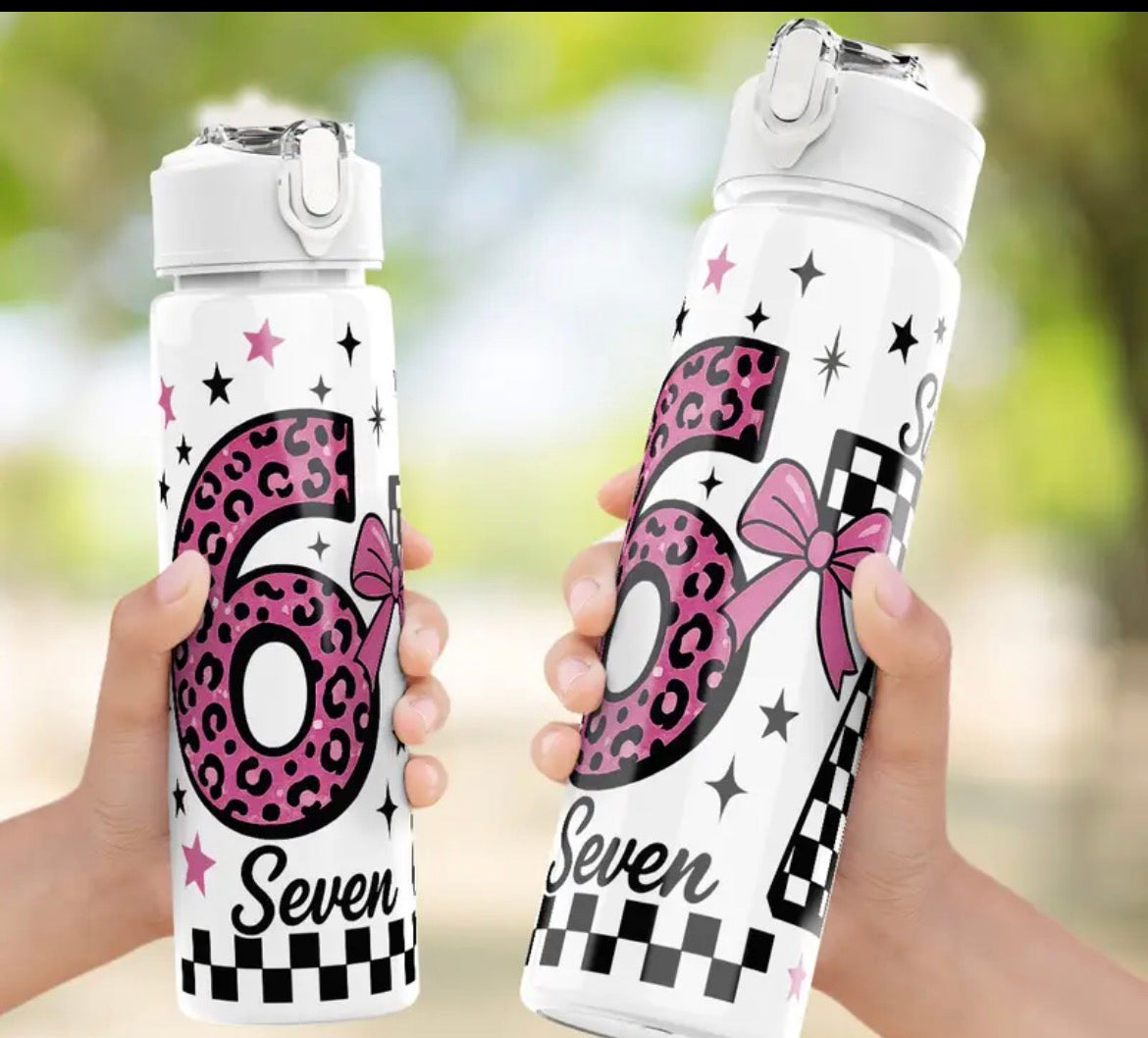 25oz 6 7 Water Bottle
