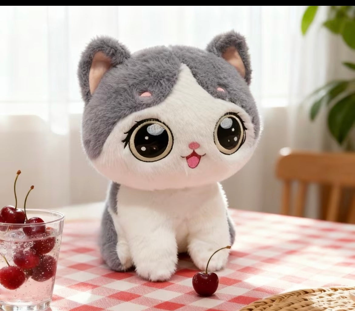 Cat Teddy