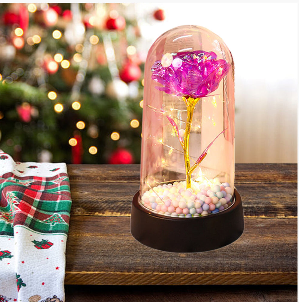 Light Up  Rose