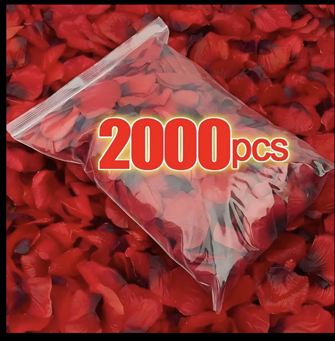 2000 PCS Roses