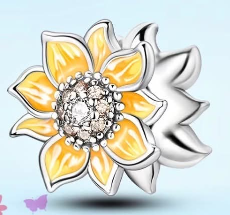 Charms