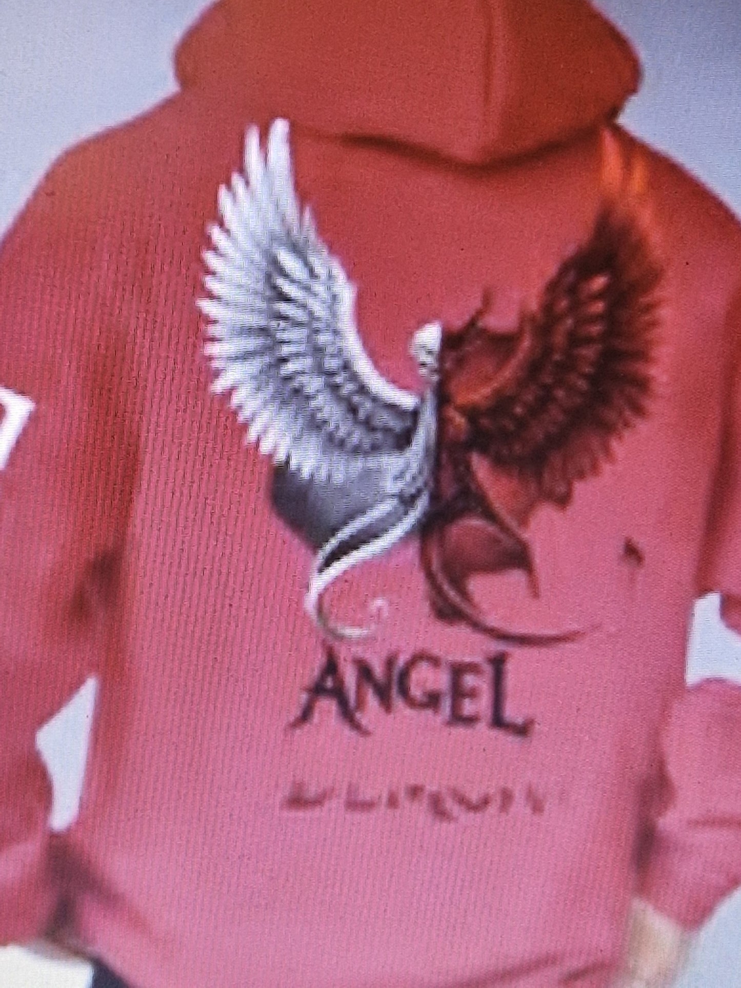 Men's hoodie
