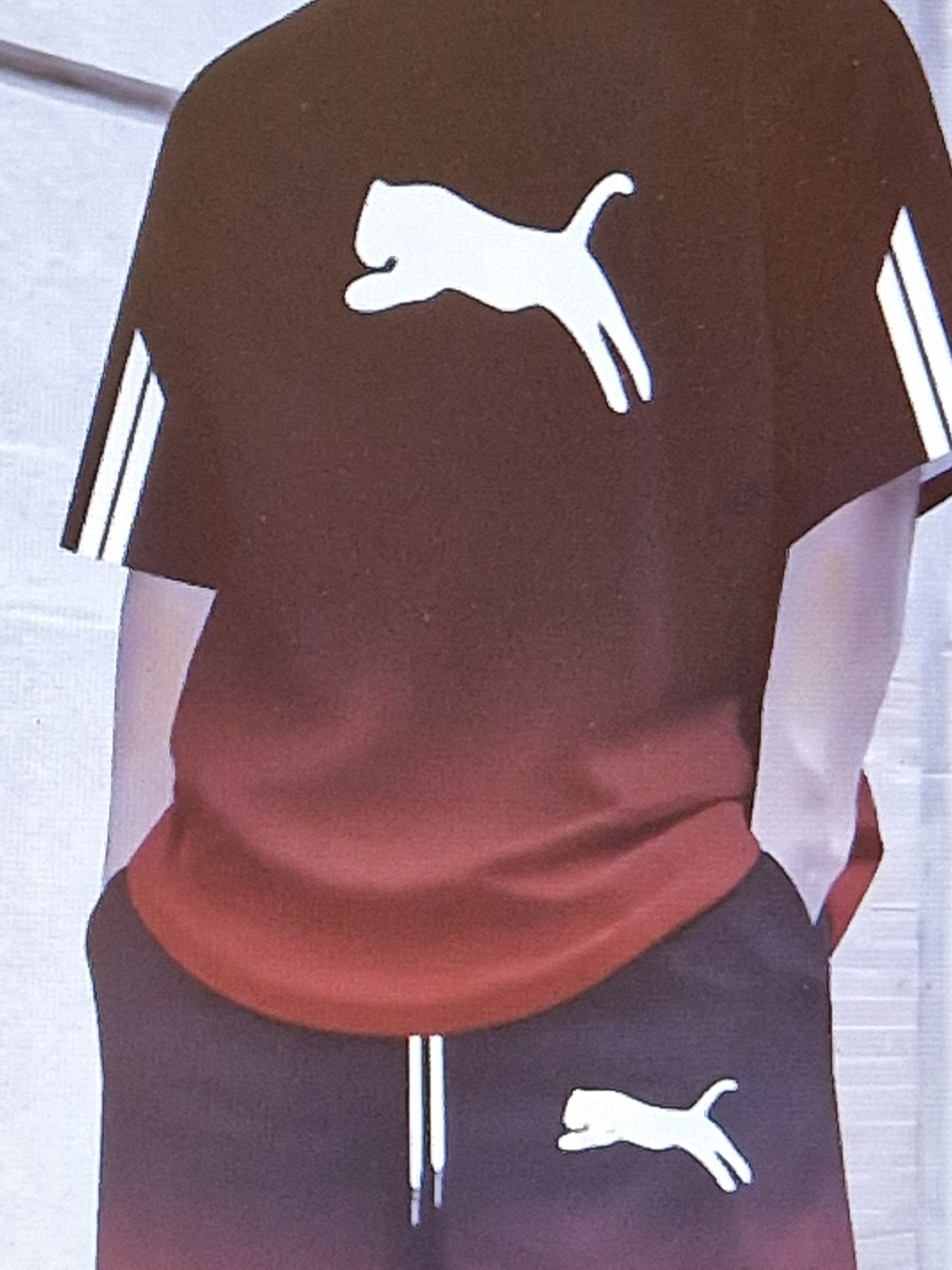 Men's t shirt and short sets