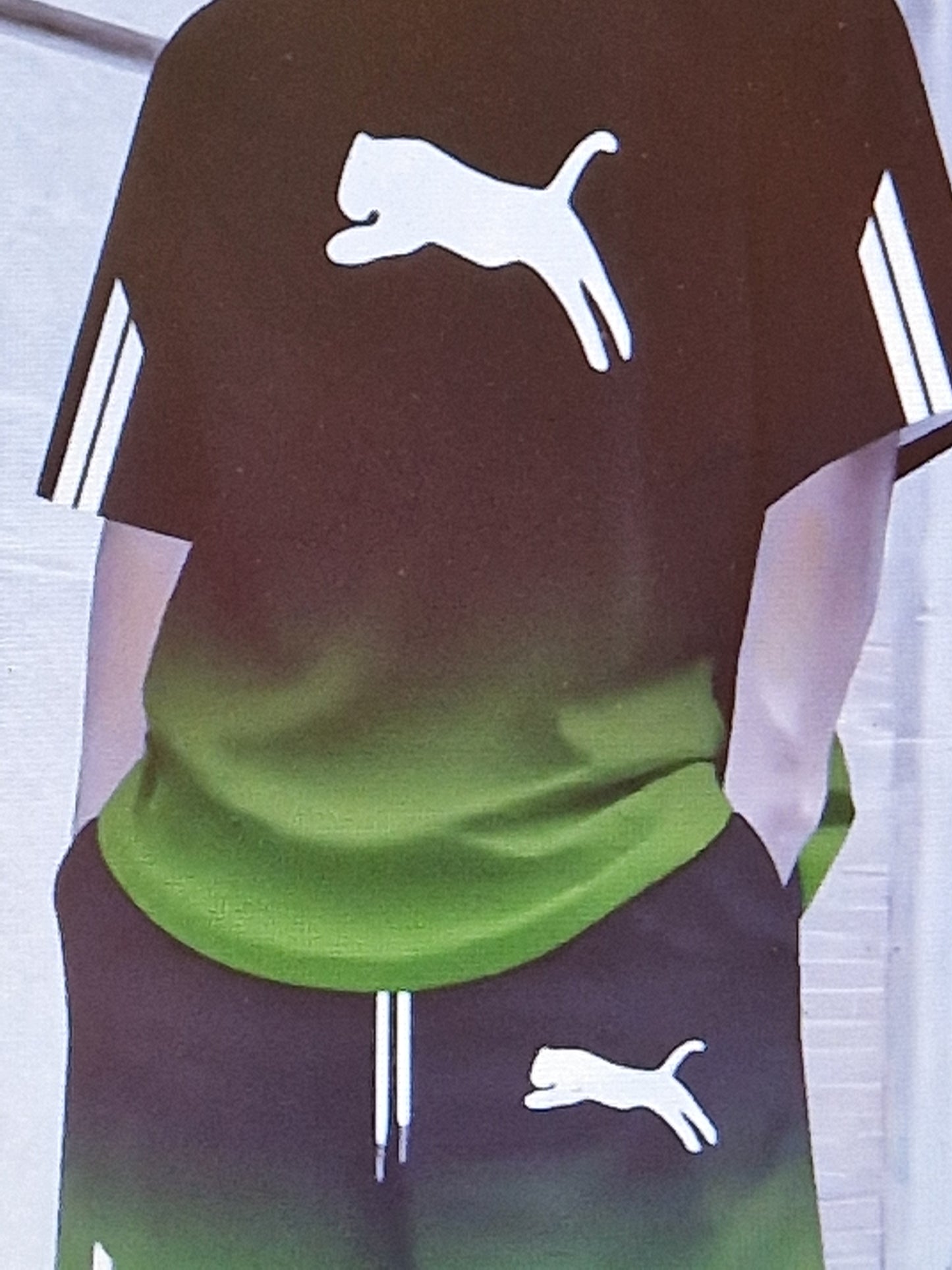 Men's t shirt and short sets