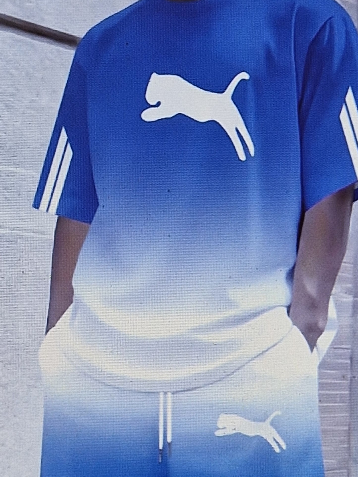 Men's t shirt and short sets