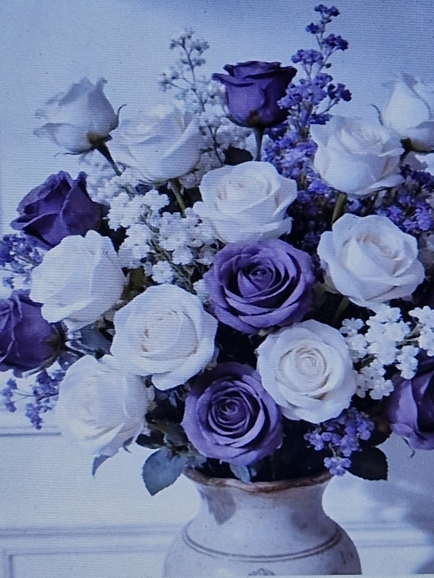 24pcs white and purple roses