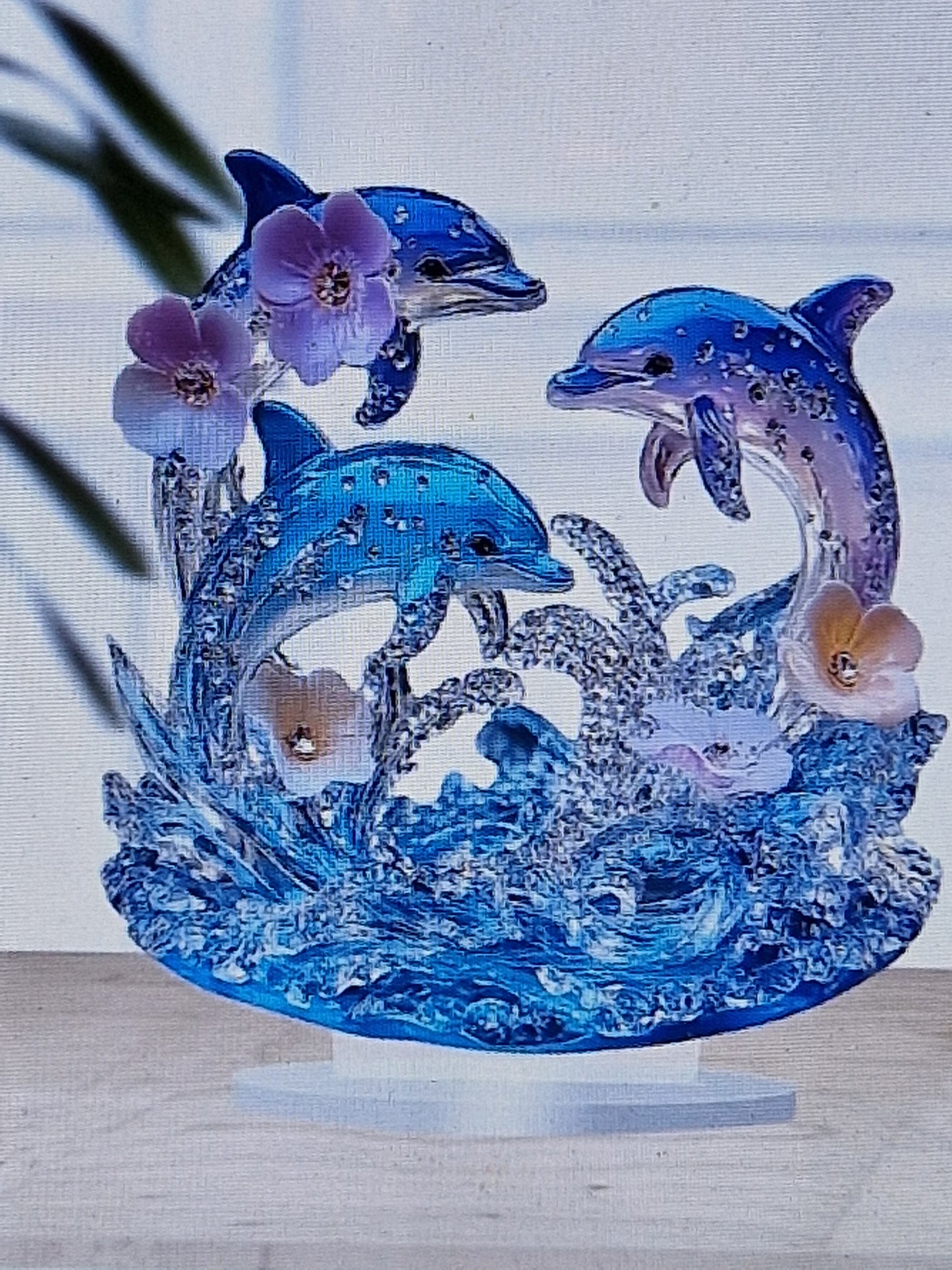 Dolphin display