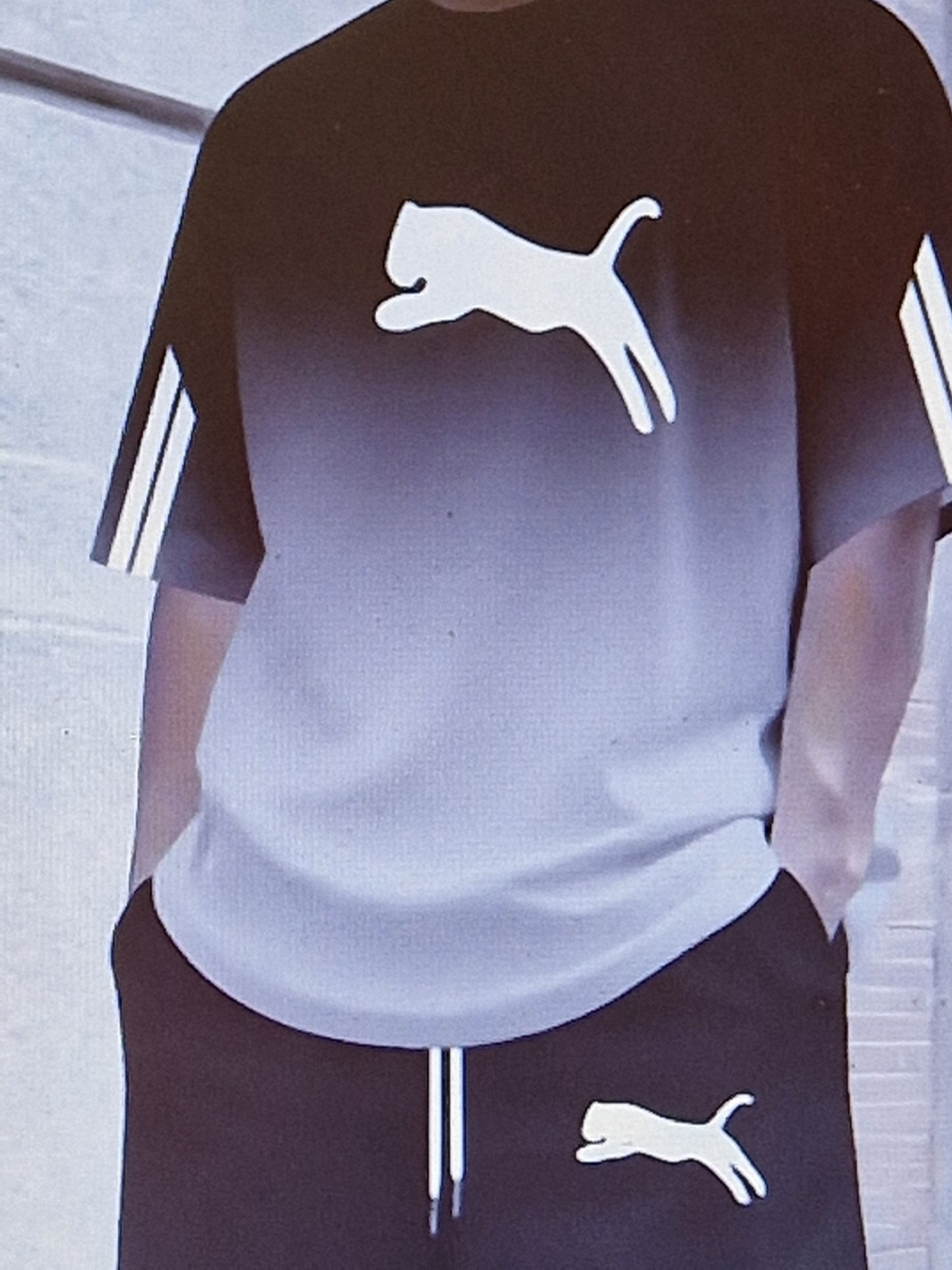 Men's t shirt and short sets