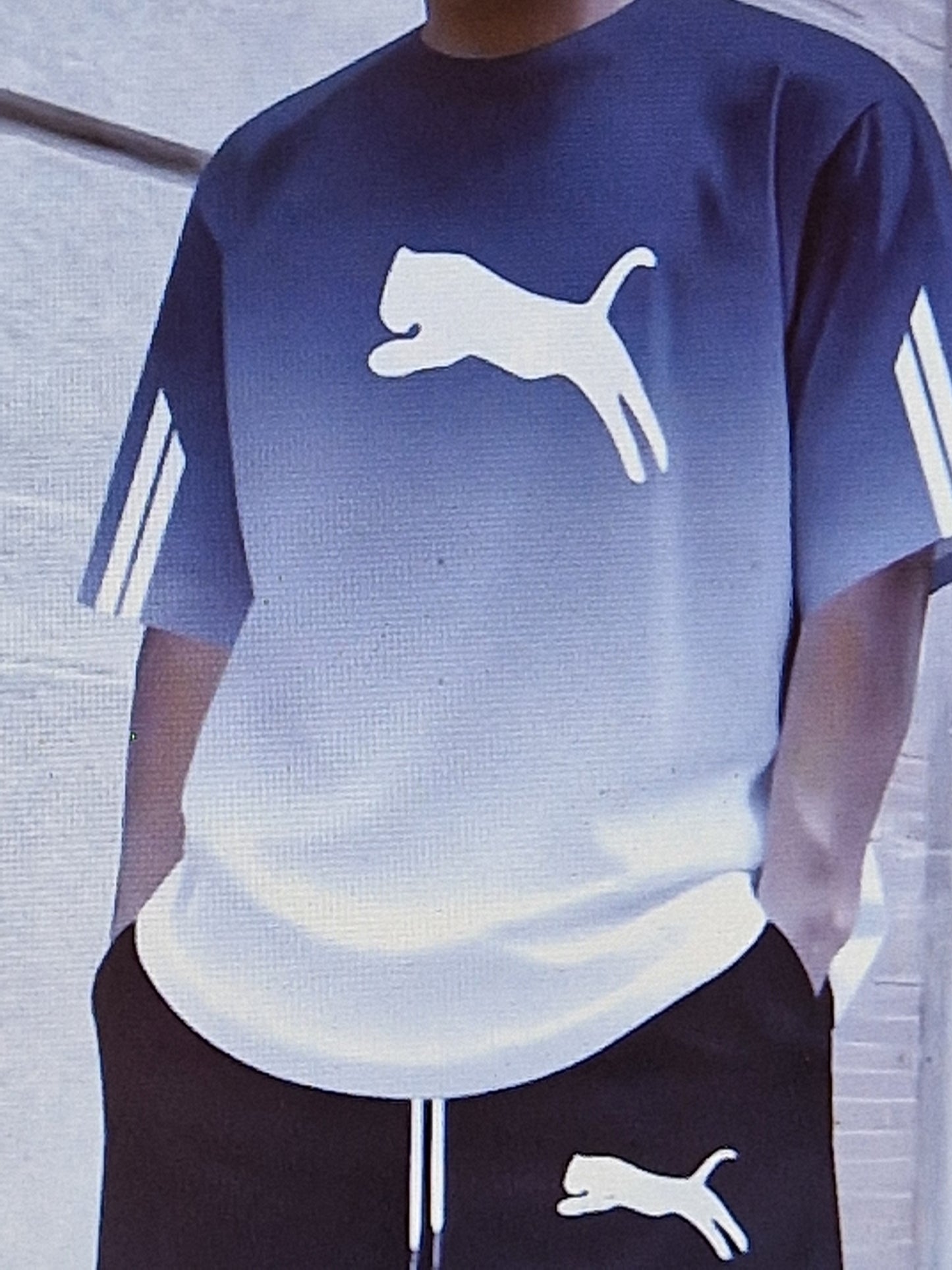 Men's t shirt and short sets
