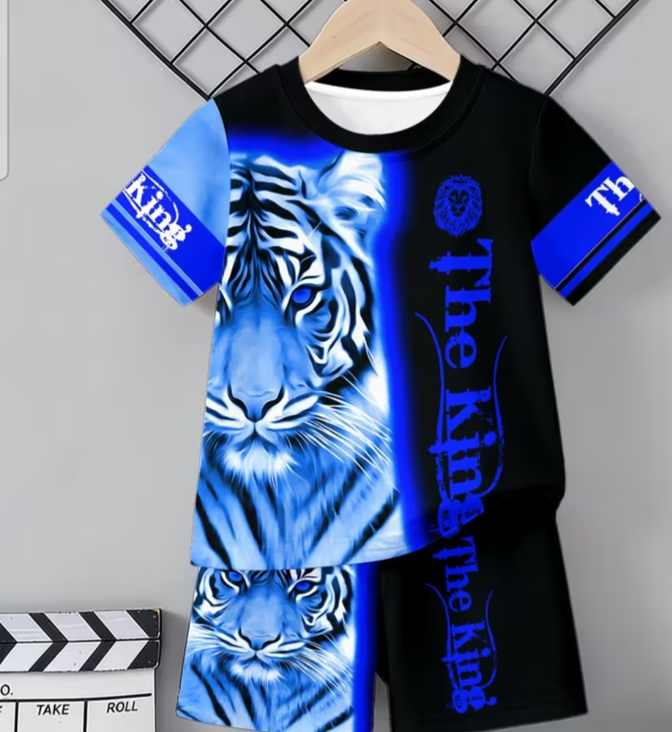 Boys short sleeve set