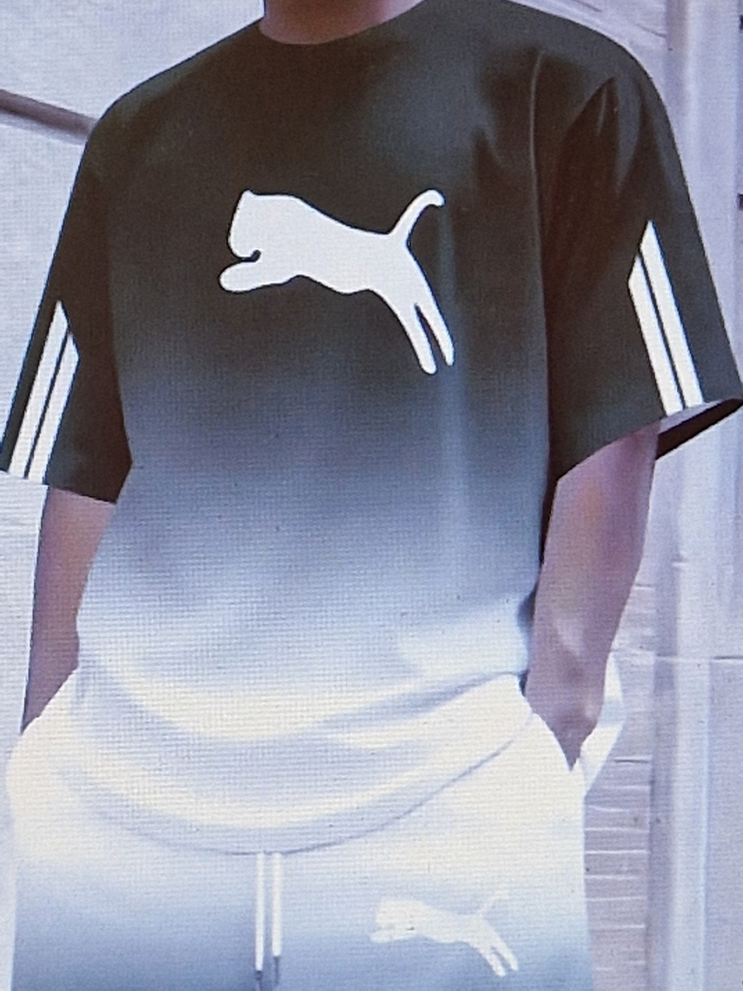 Men's t shirt and short sets