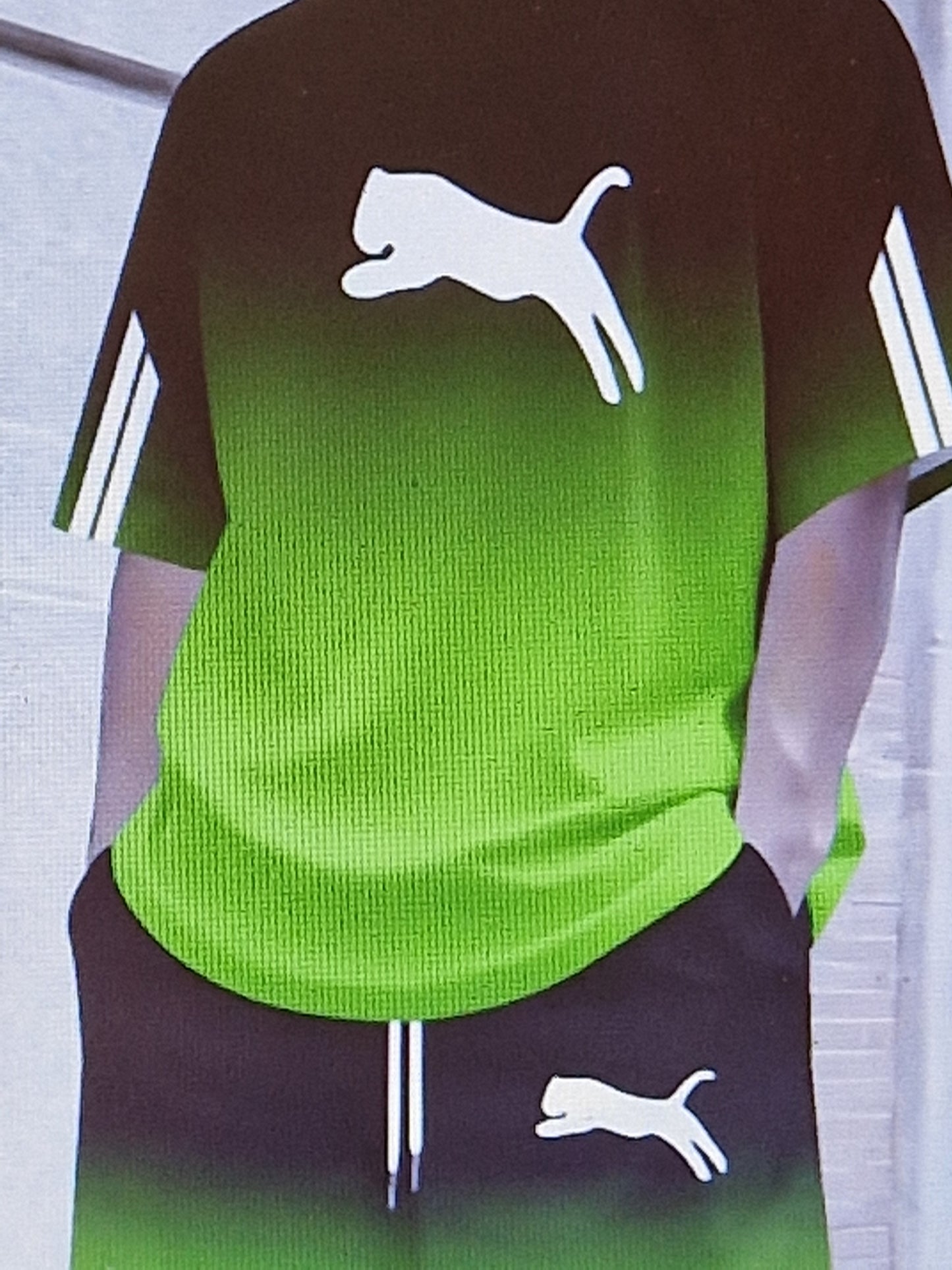 Men's t shirt and short sets