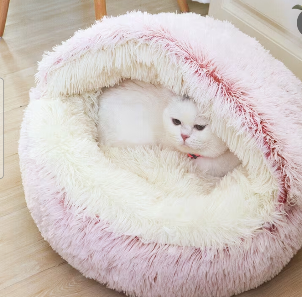 Cats bed