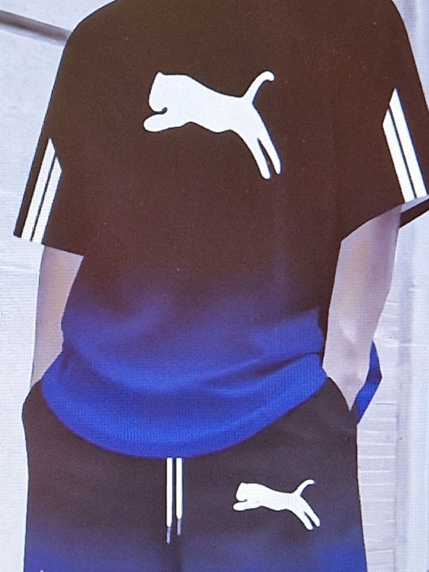 Men's t shirt and short sets